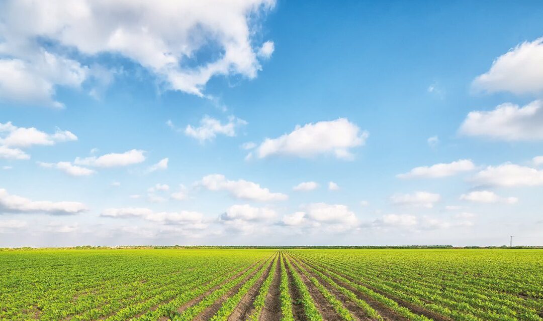 accessHealth Archive: HCC BOARD MEMBER SUZANNE GLADNEY ADVOCATES FOR MIGRANT WORKERS