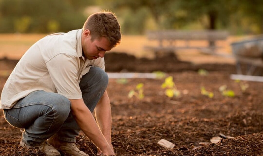 Archivo accessHealth: La tasa de suicidios entre los agricultores sigue aumentando en las zonas rurales de Missouri
