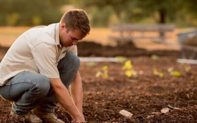 accessHealth Archive: Farmer Suicide Rate Continues to Rise in Rural Missouri