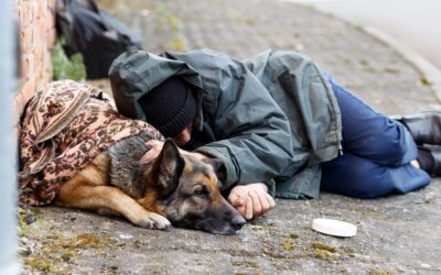 accessHealth Archive: What if We Housed the Unhoused then Addressed the Root Cause?